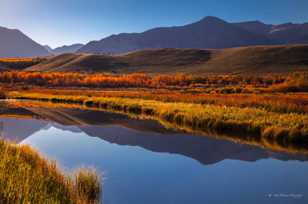 Pond and fall color near Waterton-1453 Pond and fall color near Waterton-1453